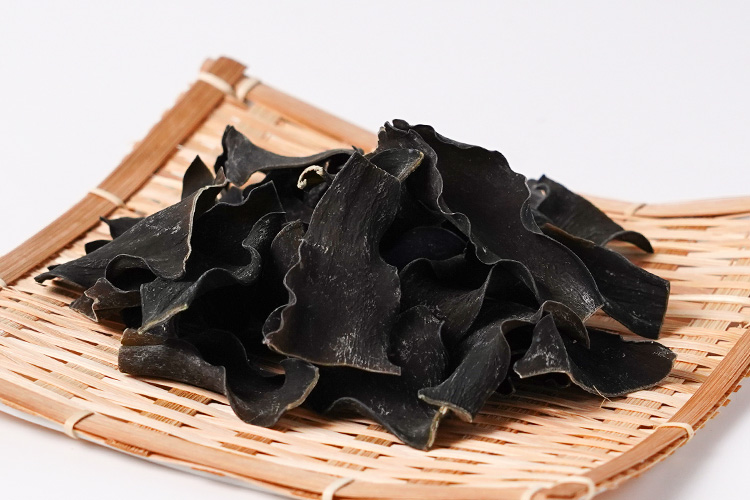 根昆布